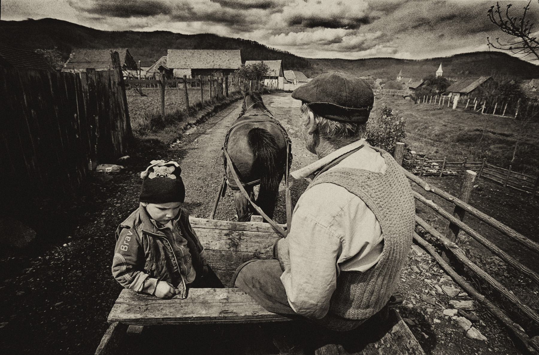 romania_horse_2_LR